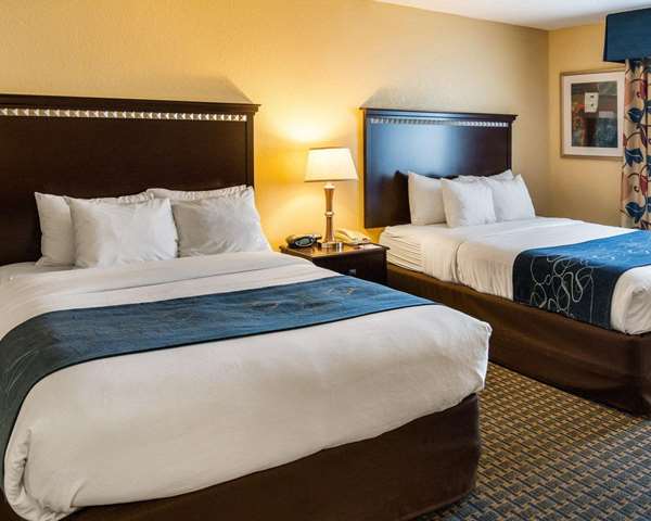Suite - Comfort Suites Nacogdoches