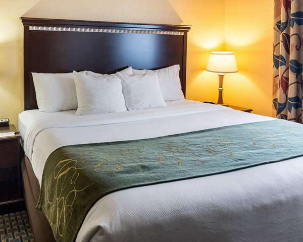 Suite - Comfort Suites Nacogdoches