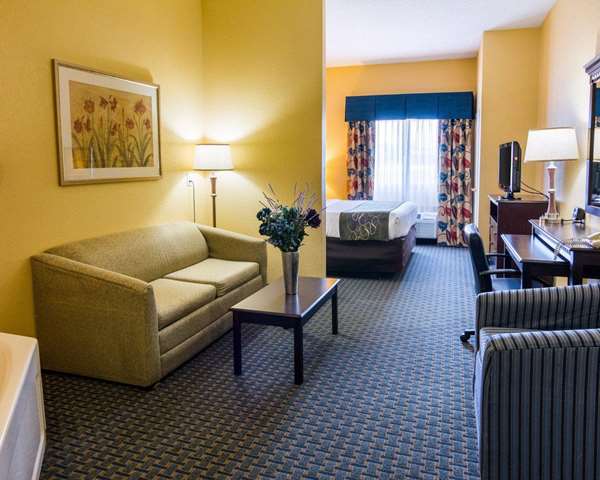 Suite - Comfort Suites Nacogdoches