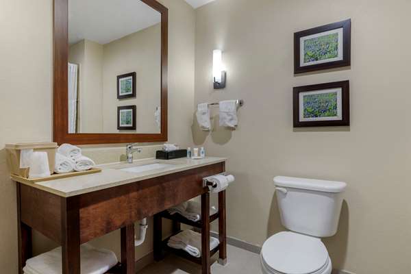 Suite - Comfort Suites Benbrook - I-20, Exit 429B