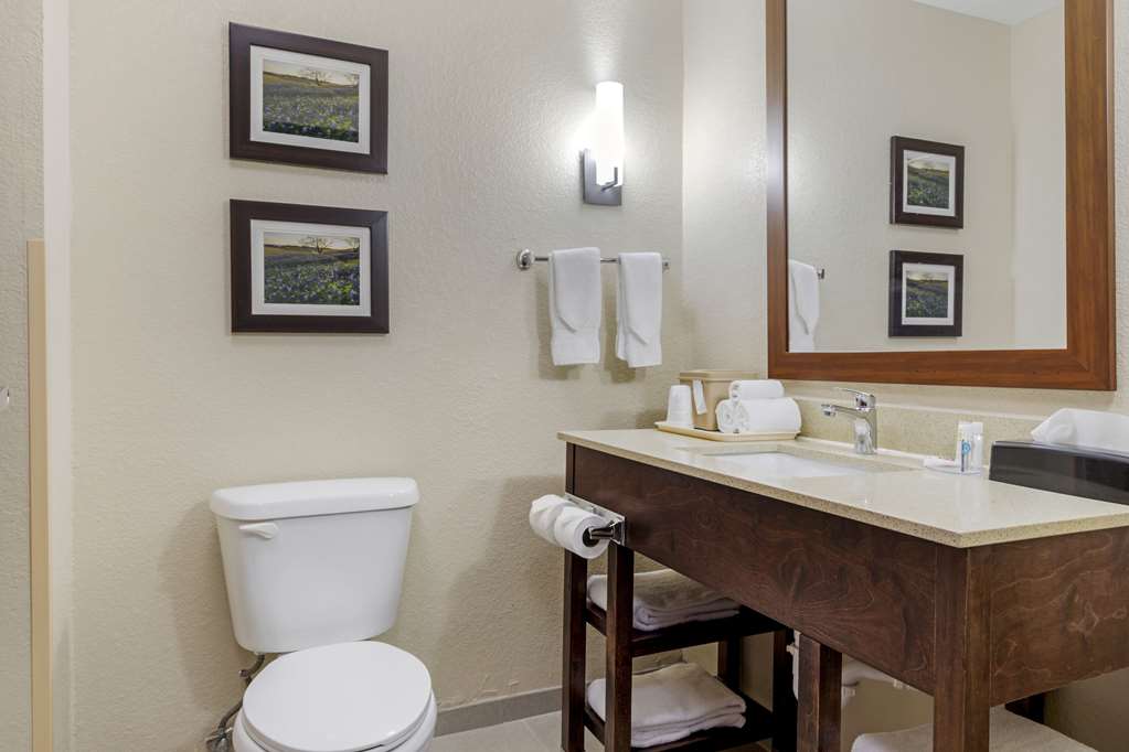 COMFORT SUITES BENBROOK - FORT WORT-guestroom-Guest Room,Bathroom,On-Site.jpg