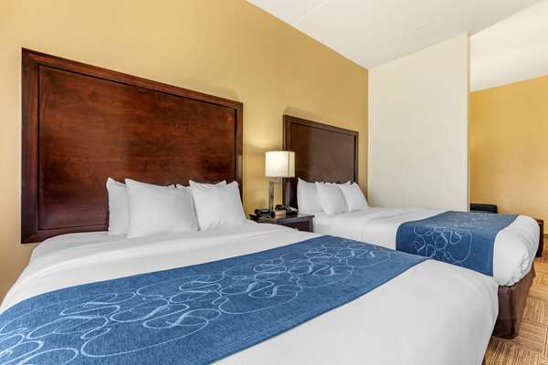 Suite - Comfort Suites Frisco