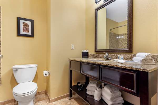 Suite - Comfort Suites Frisco