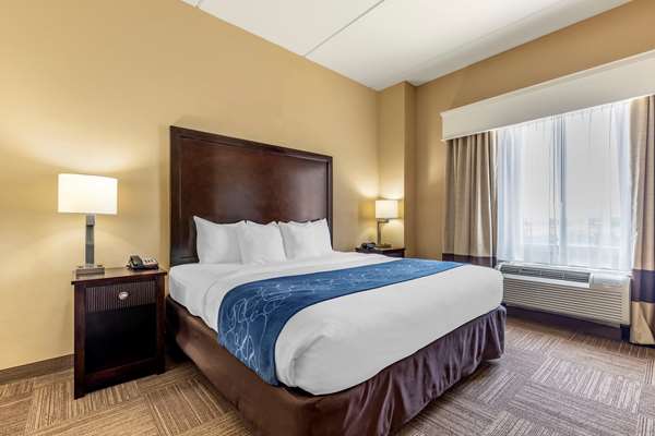 Suite - Comfort Suites Frisco