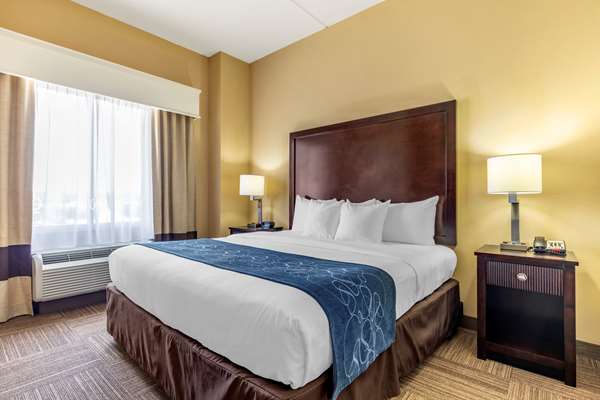 Suite - Comfort Suites Frisco