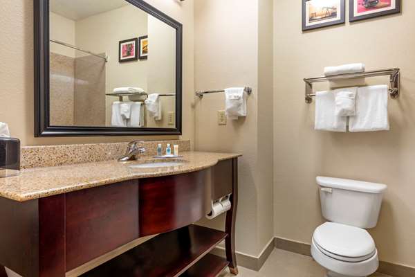  - Comfort Inn Denton - I-35, Exit 469