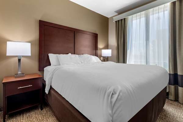Suite - Comfort Suites Plano