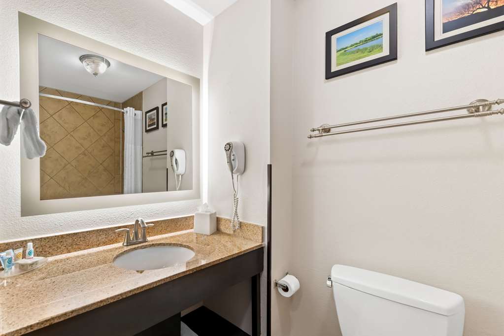 COMFORT INN & SUITES NEAR LAKE LEWI-guestroom-Guest Room,Bathroom,On-Site.jpg