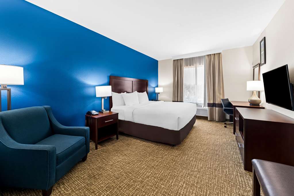 COMFORT INN & SUITES NEAR LAKE LEWI-guestroom-Guest Room,On-Site.jpg