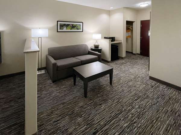Suite - Comfort Inn Orange - I-10, Exit 873