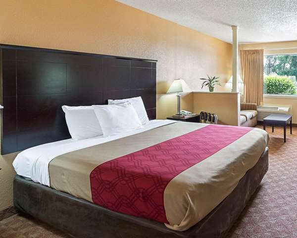 Suite - Econo Lodge Inn & Suites San Antonio - I-35, Exit 159B