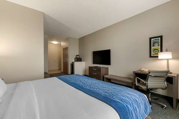 Suite - Comfort Inn & Suites Selma - I-35, Exit 173