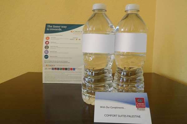 Suite - Comfort Suites Palestine