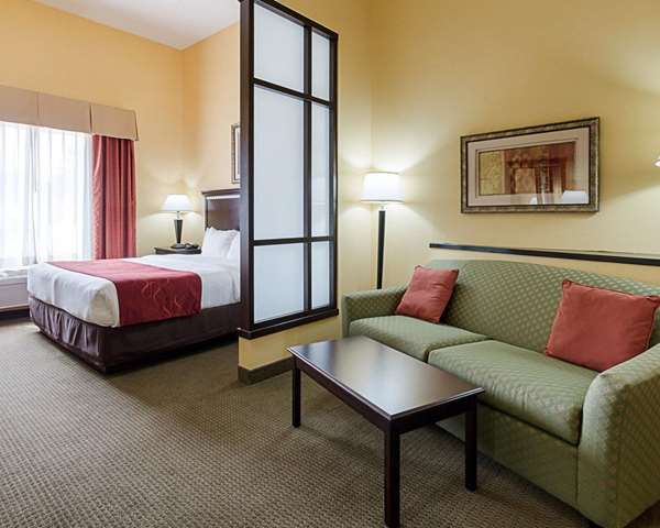  - Comfort Suites Palestine
