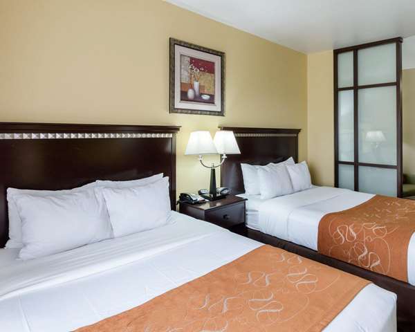 Suite - Comfort Suites Palestine