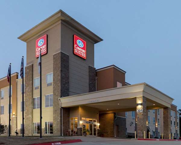 Exterior view - Comfort Suites Palestine