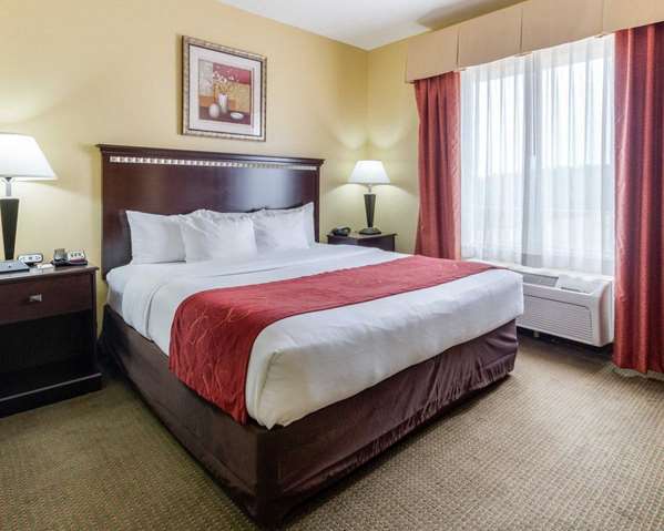  - Comfort Suites Palestine