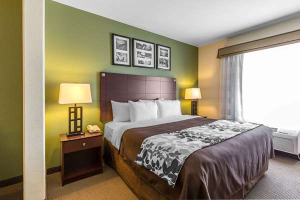 Suite - Sleep Inn & Suites Bush Airport Humble - I-69, Exit 147