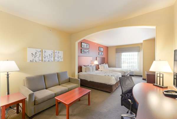 Suite - Sleep Inn & Suites Midland