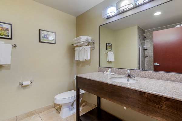  - Comfort Suites Pflugerville - I-35, Exit 248