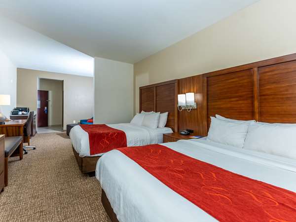 Suite - Comfort Suites Spring