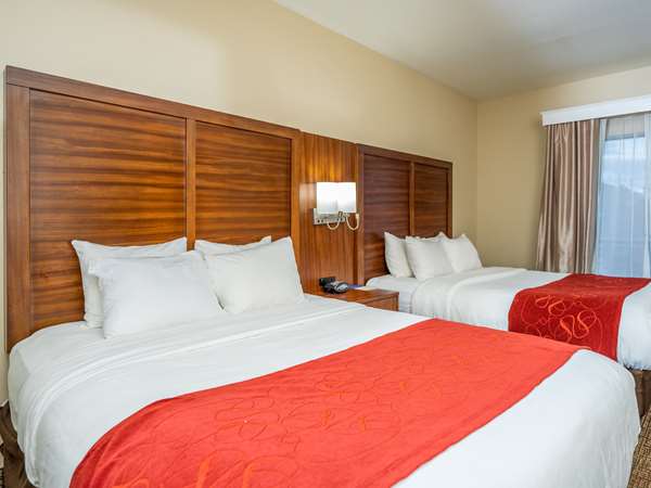 Suite - Comfort Suites Spring