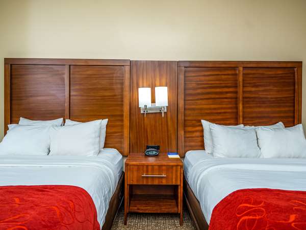 Suite - Comfort Suites Spring