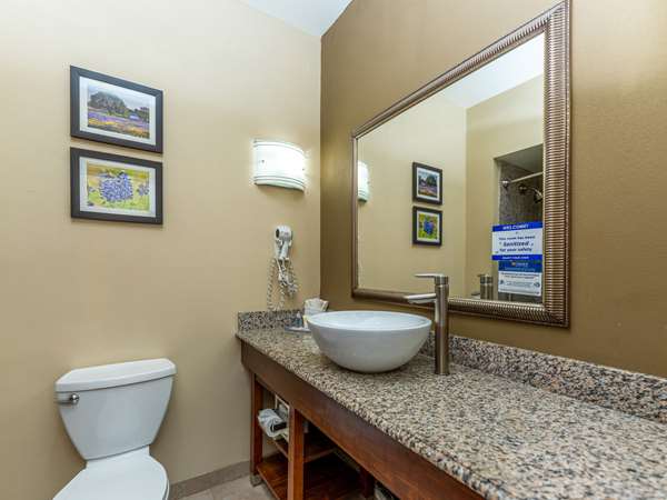 Suite - Comfort Suites Spring