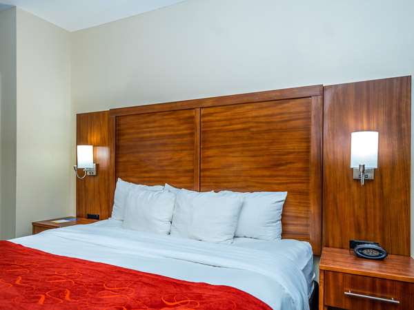 Suite - Comfort Suites Spring