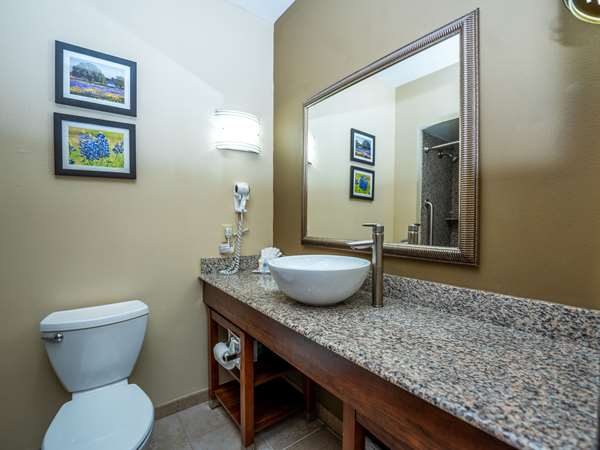Suite - Comfort Suites Spring