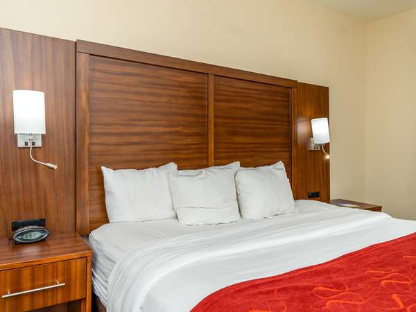 Suite - Comfort Suites Spring
