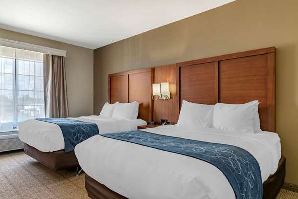 Suite - Comfort Suites Buda