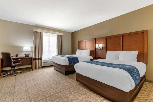 Suite - Comfort Suites Buda