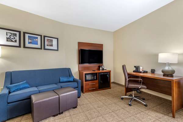 Suite - Comfort Suites Buda