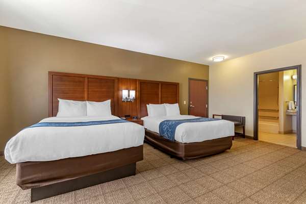 Suite - Comfort Suites Buda