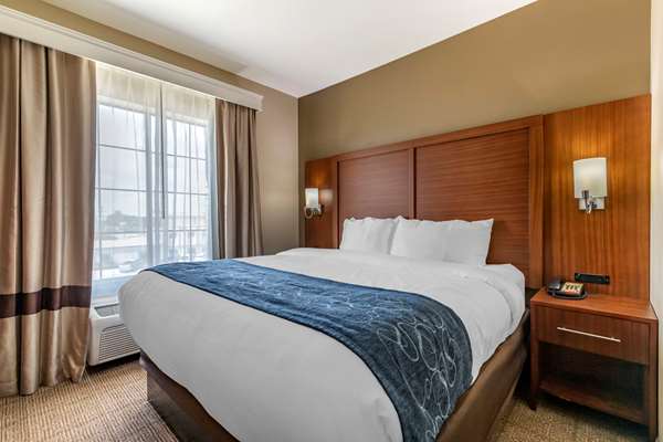 Suite - Comfort Suites Buda