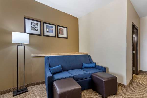 Suite - Comfort Suites Buda