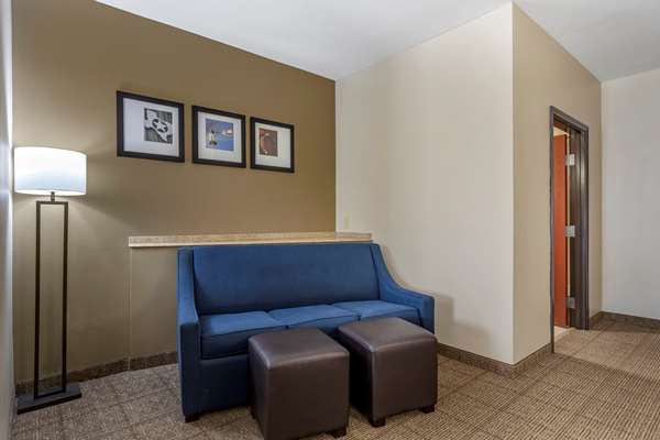 Suite - Comfort Suites Buda
