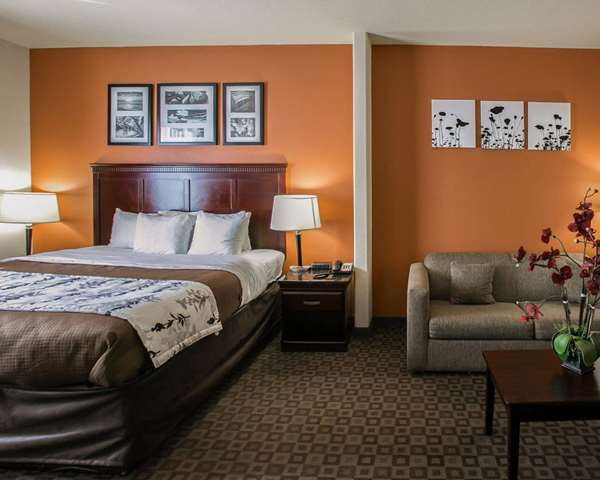 Suite - Sleep Inn & Suites Houston