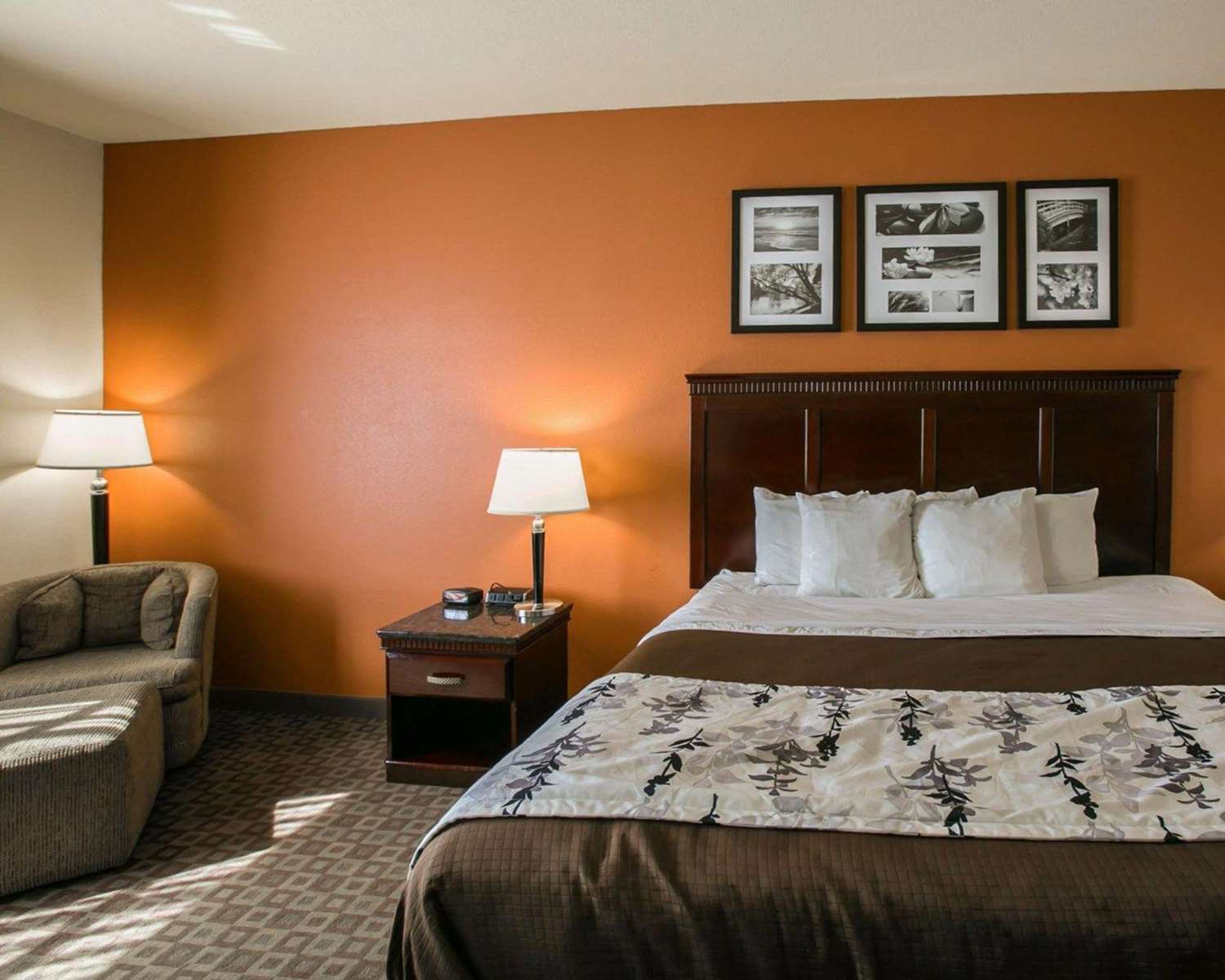 Sleep Inn & Suites Houston, TX See Discounts