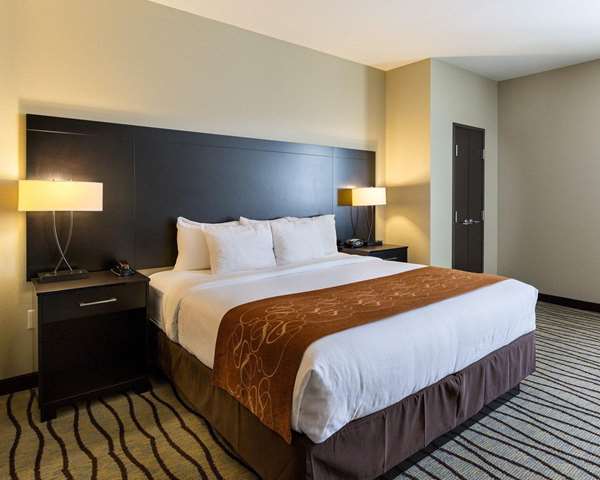 Suite - Comfort Suites Southwest Houston