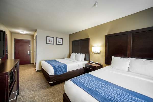  - Comfort Inn & Suites Champions Houston