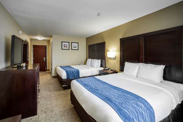  - Comfort Inn & Suites Champions Houston