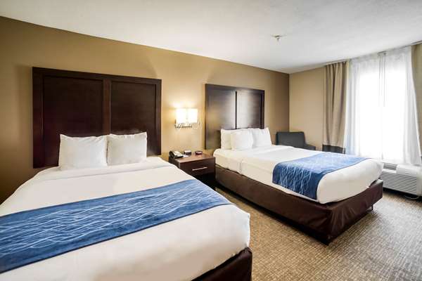 - Comfort Inn & Suites Champions Houston