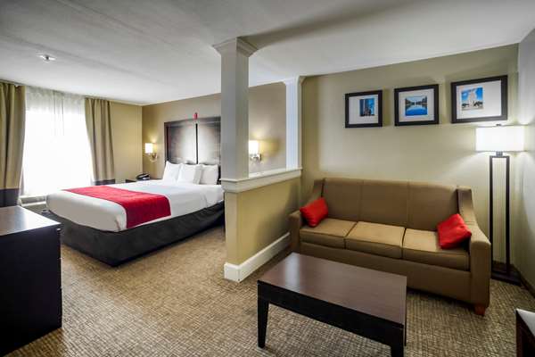 Suite - Comfort Inn & Suites Champions Houston