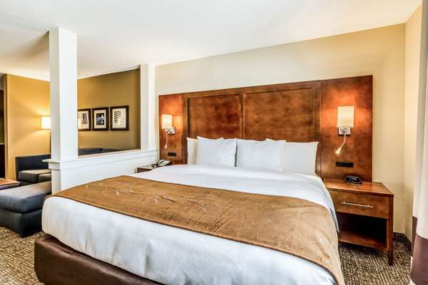 Suite - Comfort Suites Channelview - I-10, Exit 783