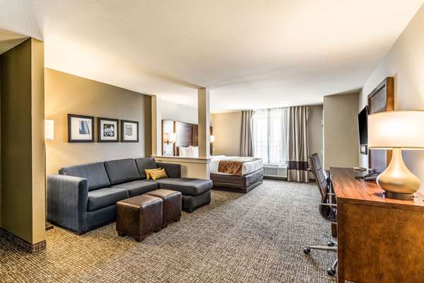 Suite - Comfort Suites Channelview - I-10, Exit 783
