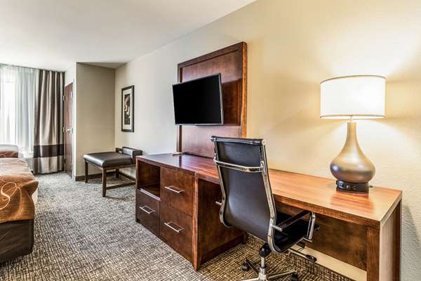 Suite - Comfort Suites Channelview - I-10, Exit 783