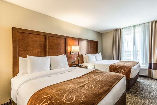 Suite - Comfort Suites Channelview - I-10, Exit 783