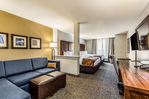 Suite - Comfort Suites Channelview - I-10, Exit 783